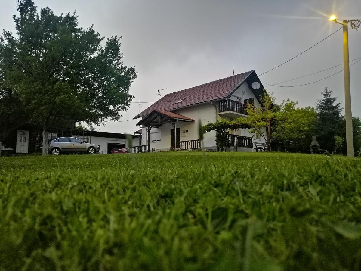ホテル House Viktoria セリステ・ドゥレズニツコ エクステリア 写真