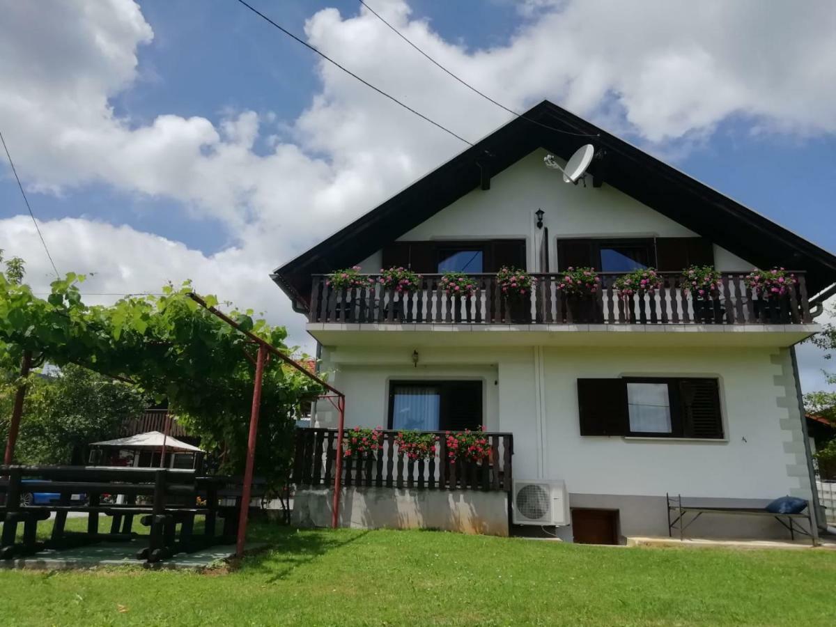 ホテル House Viktoria セリステ・ドゥレズニツコ エクステリア 写真